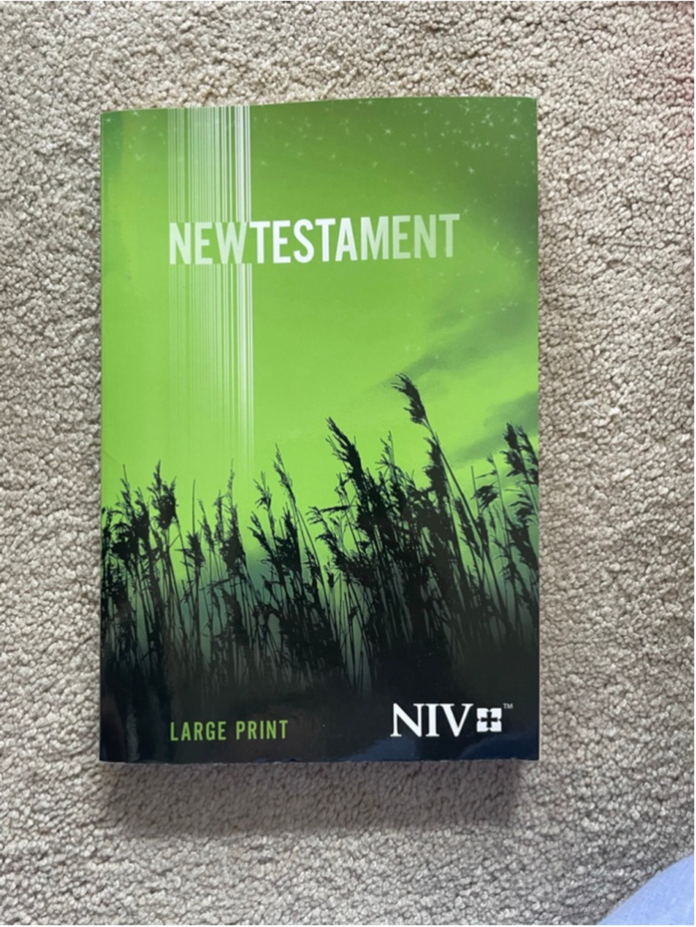 Zondervan New Testament Notebook One Size Green Black